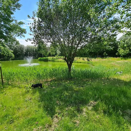 Lias Hébergement de vacances